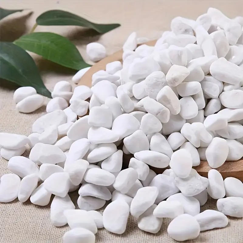 1L High-Quality Perlite Succul - Pet Beds recension och pris